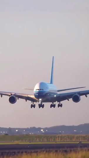 バラのようなスピード婚 第 1 話