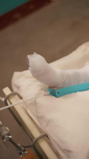 枯荷听雨锁重帘 第5集