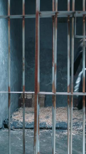 La Reine Alpha Rejetée Fait Son Retour Épisode11