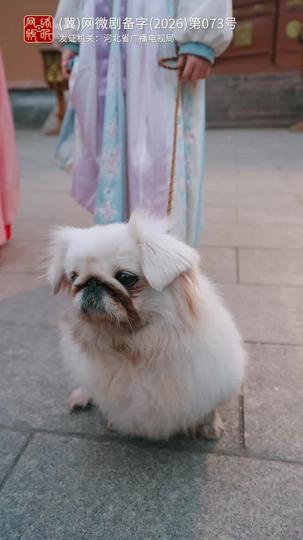 冷院医妃涅槃归来 第4集