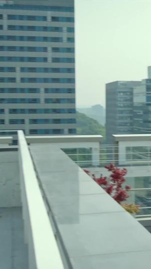 Ba người độc thân Tập 8