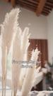 Our Marriage Isn't Over Yet Episode 1