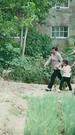 Episodes 62