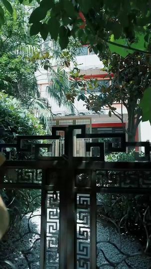 Shadows and Roses Episode 4