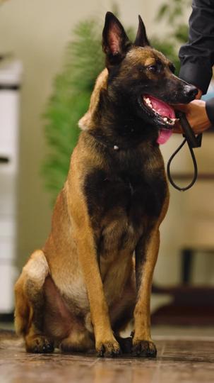 Revenge Beyond the Grave Episode 9