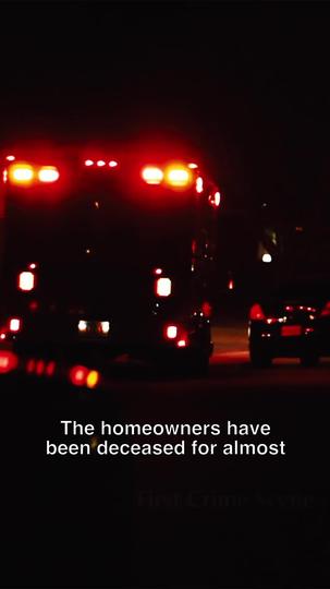 Apocalypse Rising: A Zombie Saga Episode 3