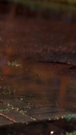 แด๊ดดี้หมาป่ามาเคาะประตู ที่1ตอน