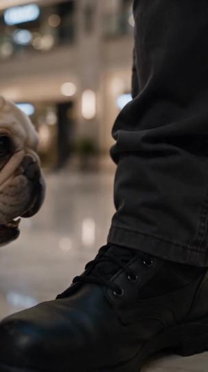Reborn K9: Crack the Case Episode 7