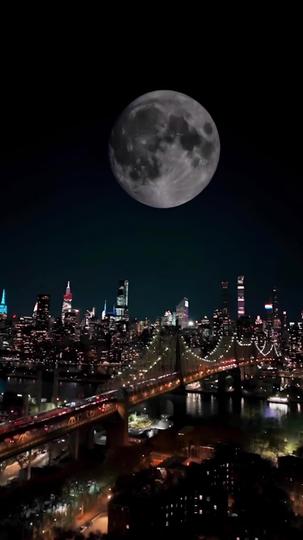 Married to the Secret Lycan King Episode 1