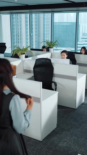 梨花落尽，云散夜未明 第11集