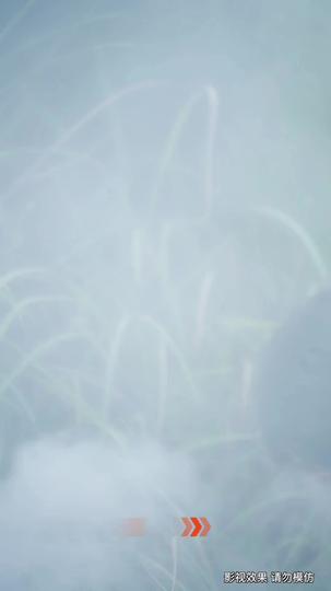 神泉仙农 第5集