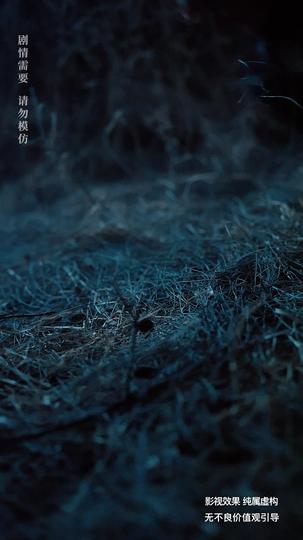 荒野女王 第9集