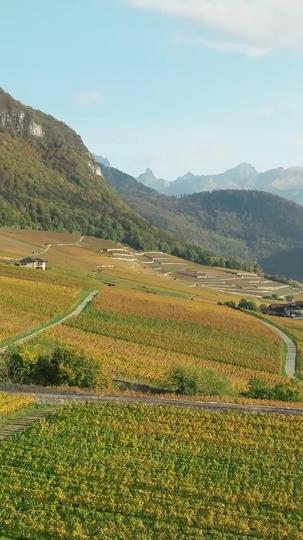 From Mail-Order Bride To Billionaire's Wife Episode 6