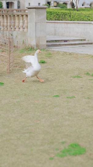 以我痴年，换你长安 第1集