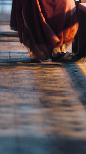 绿上枝头 第1集