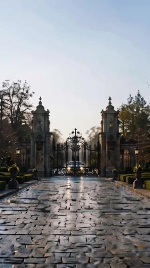 My First Night With The Vampire Billionaire Episode 8