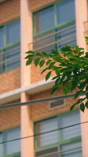 앗, 고백을 까먹었다 제8회