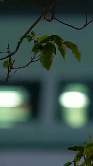 Pengasuh Cantik Idaman CEO Episode 9