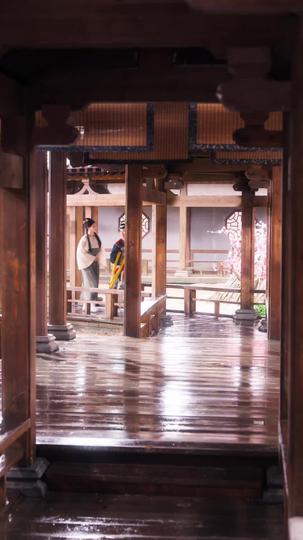 绿上枝头 第11集