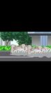 Ordinary Life, Extraordinary Power Episode 6