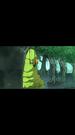 Episodes 45