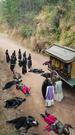 Episodes 74