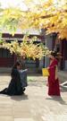 Episodes 27