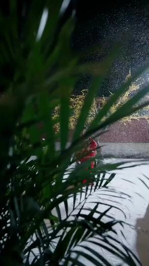 서녀 공략 제1회