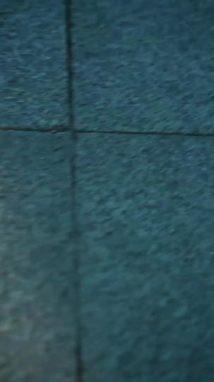 身代わりの代償(吹き替え) 第 11 話