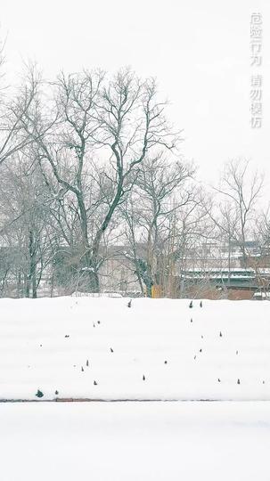 Resetting the Clock: A Tycoon's Rise Episode 1