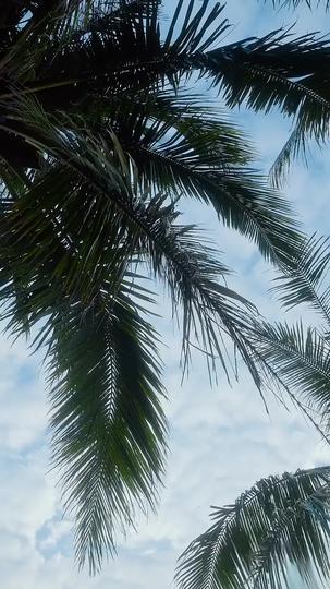 Lights Off, Survival On Episode 5