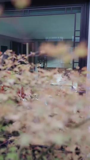 Suami yang Diremehkan Episode 1