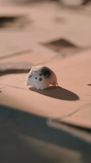 Cinta yang Terpenjara Episode 6