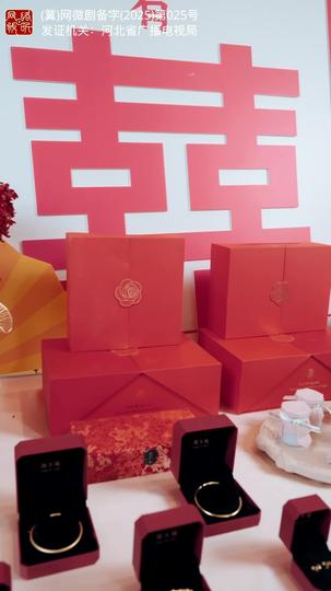 蛇年大吉之婚不可挡 第1集