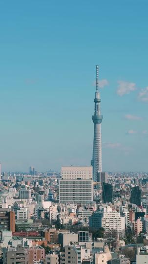 秘め事は恋の始まり 第 6 話