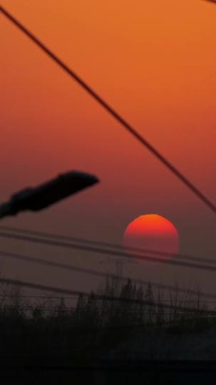 野蠻生長 第5集