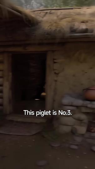 The Deer Spirit Who Walked Away from Immortality Episode 8