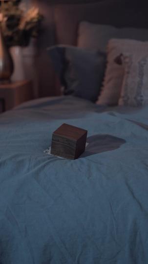 Casa de Novo, Meu Ex Bilionário 9Episódio