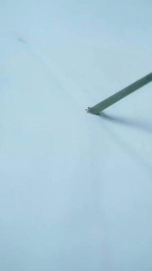 서녀 공략 제11회