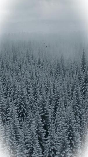 The Lycan Queen of Winter Episode 4