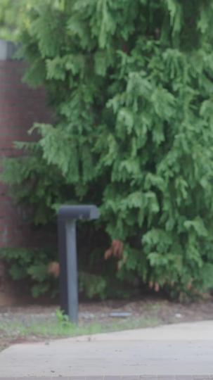 My Cold-Hearted Mafia King Episode 10