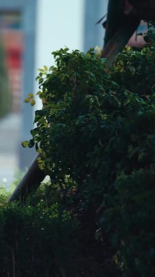 別惹那個擺爛爹，他閨女有通天籙 第2集