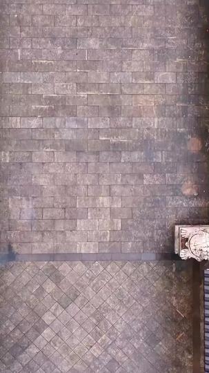 The Prickly Encounter Episode 1