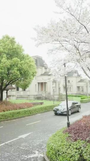 رحلتها للانتقام 2مجموعة