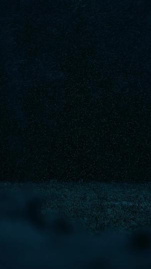 Rescued by the Rugged Mountain Man Episode 1