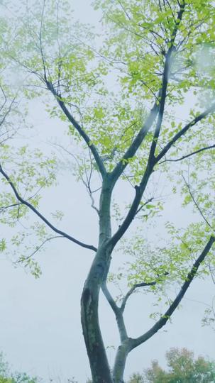 Lost in Time, Found in Love Episode 1