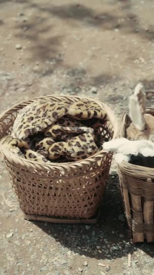 Fur-tunate: Born Full of Luck Episode 2