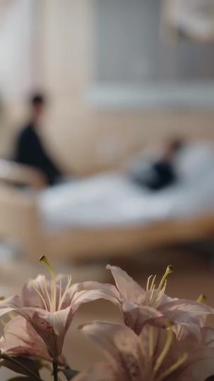 她藏起了倾城貌 第11集