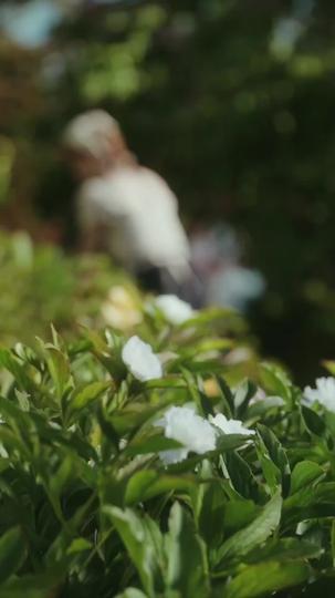 Sacrifiée au Roi Alpha, Sauvée par son Cœur Épisode11