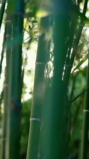 His Ascension From the Abyss Episode 8